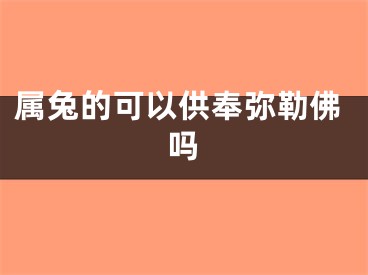 属兔的可以供奉弥勒佛吗