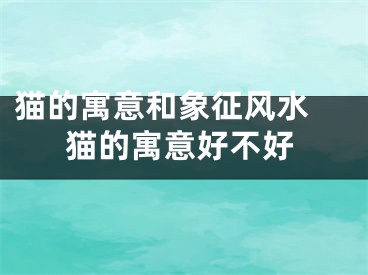 猫的寓意和象征风水 猫的寓意好不好