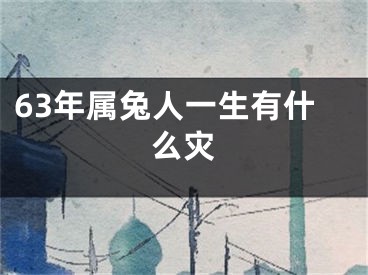63年属兔人一生有什么灾