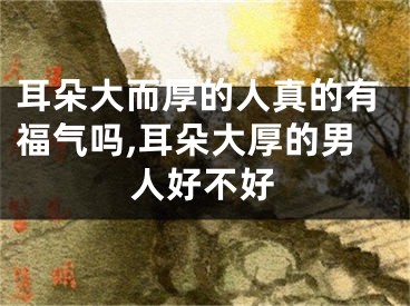 耳朵大而厚的人真的有福气吗,耳朵大厚的男人好不好