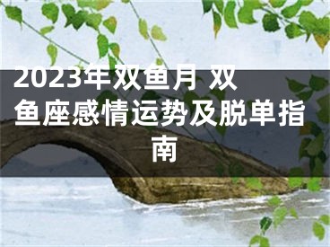 2023年双鱼月 双鱼座感情运势及脱单指南