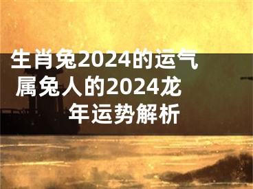 生肖兔2024的运气 属兔人的2024龙年运势解析