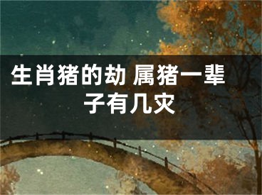 生肖猪的劫 属猪一辈子有几灾