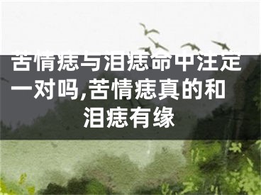 苦情痣与泪痣命中注定一对吗,苦情痣真的和泪痣有缘