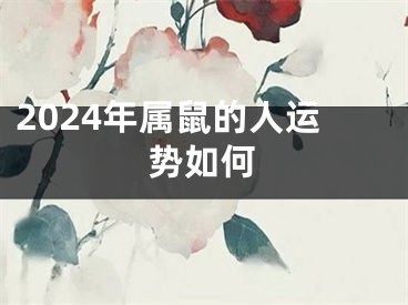 2024年属鼠的人运势如何