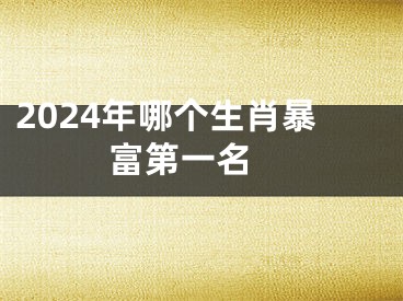 2024年哪个生肖暴富第一名 