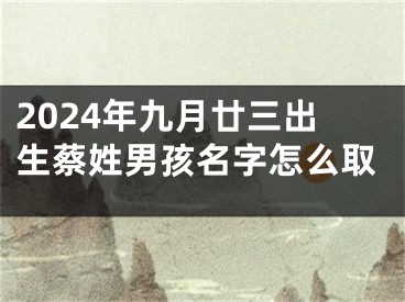2024年九月廿三出生蔡姓男孩名字怎么取