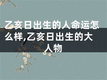 乙亥日出生的人命运怎么样,乙亥日出生的大人物