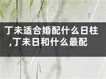 丁未适合婚配什么日柱,丁未日和什么最配
