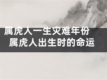 属虎人一生灾难年份 属虎人出生时的命运