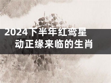 2024下半年红鸾星动正缘来临的生肖