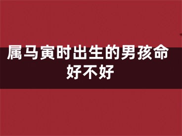 属马寅时出生的男孩命好不好