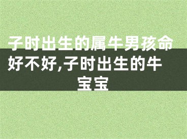 子时出生的属牛男孩命好不好,子时出生的牛宝宝