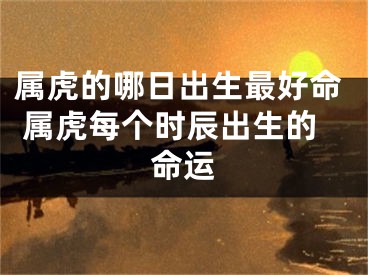 属虎的哪日出生最好命 属虎每个时辰出生的命运