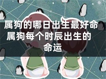 属狗的哪日出生最好命 属狗每个时辰出生的命运