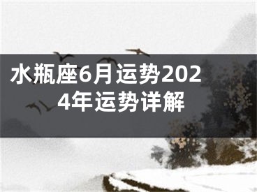 水瓶座6月运势2024年运势详解