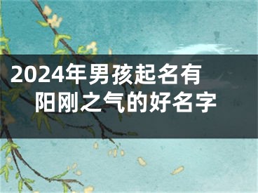 2024年男孩起名有阳刚之气的好名字