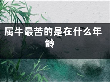 属牛最苦的是在什么年龄 