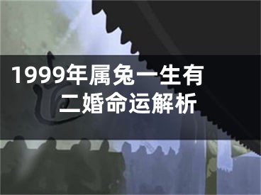 1999年属兔一生有二婚命运解析