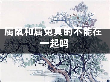 属鼠和属兔真的不能在一起吗