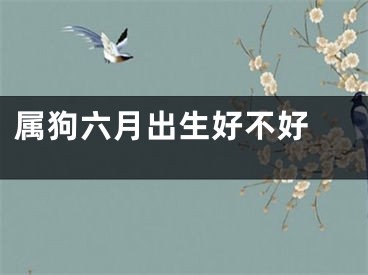 属狗六月出生好不好 