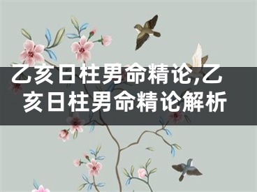 乙亥日柱男命精论,乙亥日柱男命精论解析