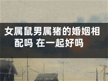 女属鼠男属猪的婚姻相配吗 在一起好吗