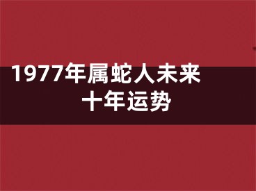 1977年属蛇人未来十年运势