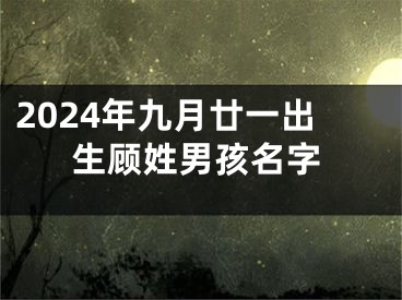 2024年九月廿一出生顾姓男孩名字
