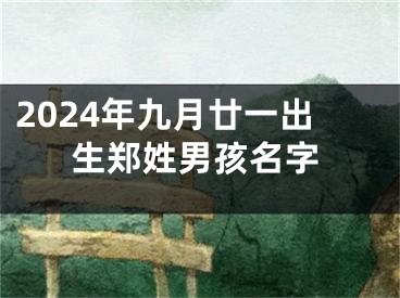 2024年九月廿一出生郑姓男孩名字