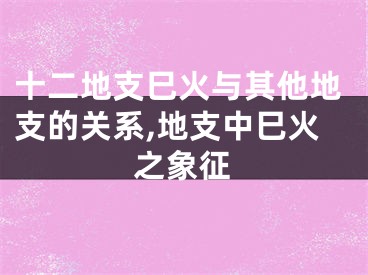 十二地支巳火与其他地支的关系,地支中巳火之象征