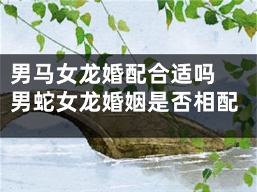 男马女龙婚配合适吗 男蛇女龙婚姻是否相配