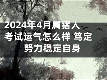 2024年4月属猪人考试运气怎么样 笃定努力稳定自身