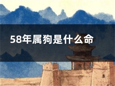 58年属狗是什么命