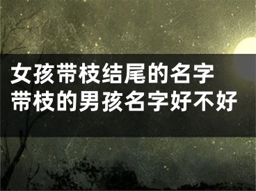 女孩带枝结尾的名字 带枝的男孩名字好不好