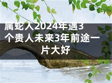 属蛇人2024年遇3个贵人未来3年前途一片大好