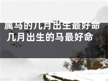 属马的几月出生最好命 几月出生的马最好命 