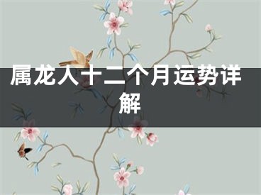 属龙人十二个月运势详解