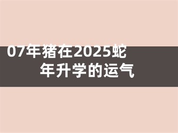 07年猪在2025蛇年升学的运气
