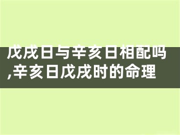 戊戌日与辛亥日相配吗,辛亥日戊戌时的命理