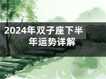2024年双子座下半年运势详解