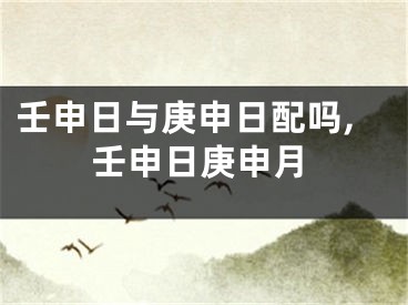 壬申日与庚申日配吗,壬申日庚申月