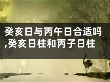 癸亥日与丙午日合适吗,癸亥日柱和丙子日柱