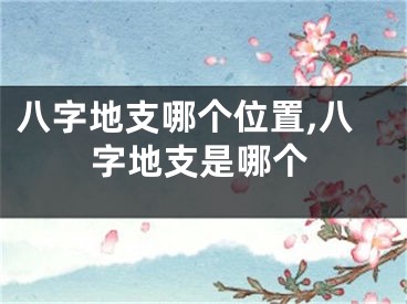 八字地支哪个位置,八字地支是哪个