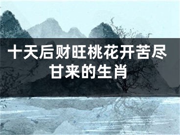 十天后财旺桃花开苦尽甘来的生肖