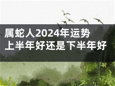 属蛇人2024年运势上半年好还是下半年好