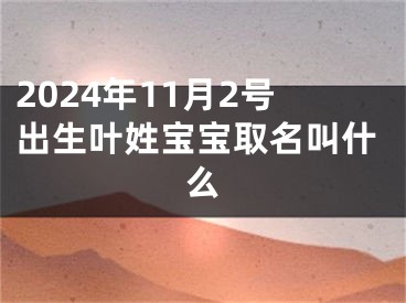 2024年11月2号出生叶姓宝宝取名叫什么