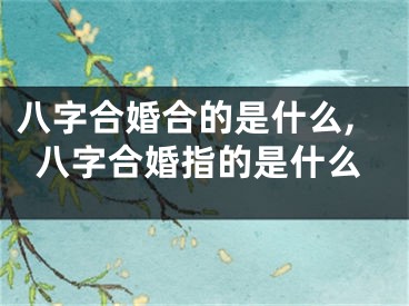 八字合婚合的是什么,八字合婚指的是什么