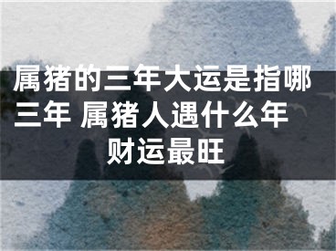 属猪的三年大运是指哪三年 属猪人遇什么年财运最旺