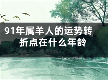 91年属羊人的运势转折点在什么年龄